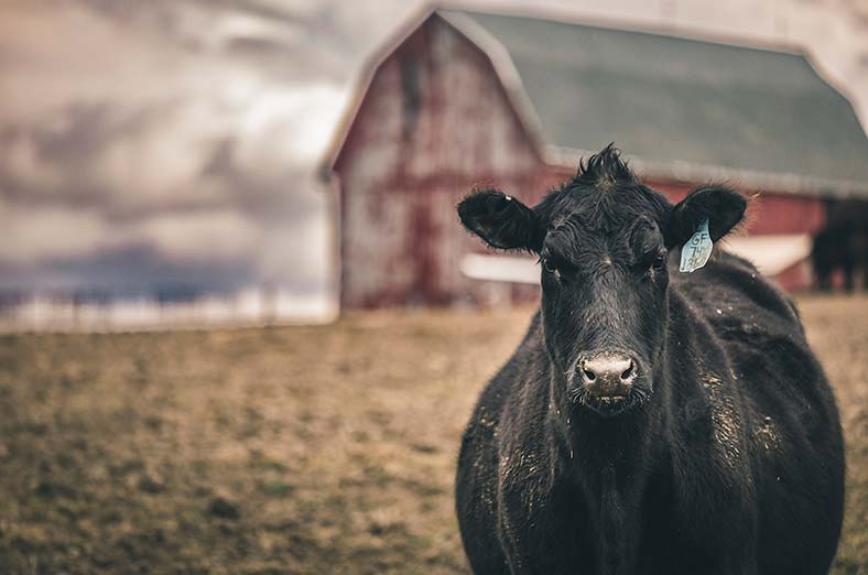 Donor in front of Barn